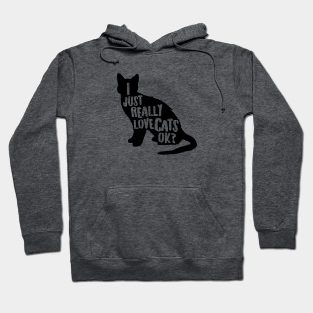 I Just Really Love Cats, Ok? Cute Cat Lover Apparel Gifts for Valentines Day Hoodie by teemaniac